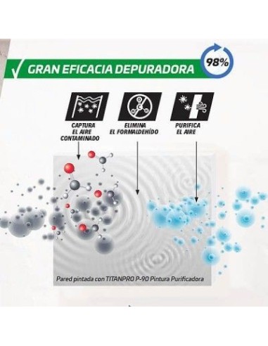 PRO.P-90 PINTURA PURIFICADORA P-90...