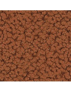 2912 MARTELE ANT.VERDE... 2