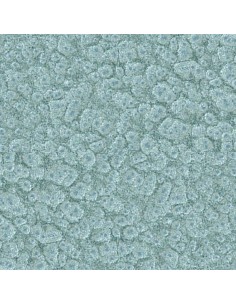 2900 MARTELE ANT.GRIS PLATA... 2