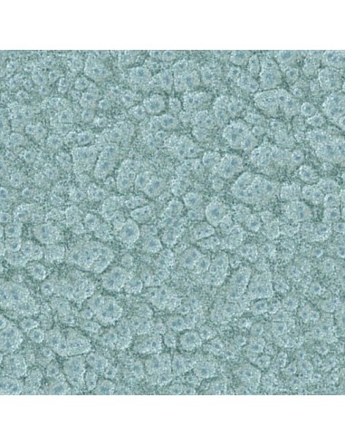 2900 MARTELE ANT.GRIS PLATA 4 LTS