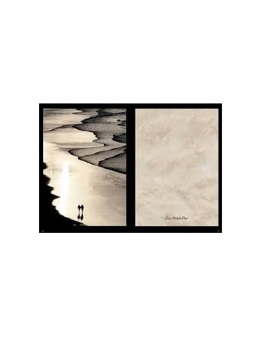 OSAKA EFECTO PERLADO COLORES 1 LTS PLATA