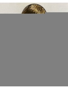 NATURTIN 7N RUBIO AVELLANA