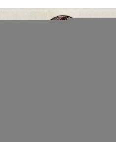 NATURTIN 3,56 ROJO RADIANTE 