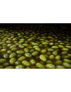 SOSA CAUSTICA BOTE 250GR.... 2