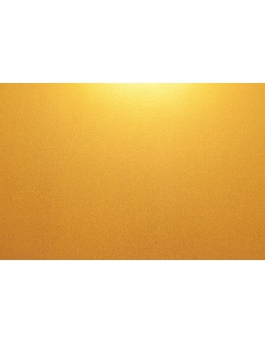 860 ACUALUX ORO ROJIZO 250 ML 