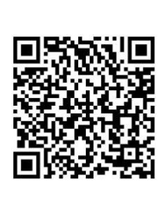 BARNIZ ECOLOGICO SATINADO... 2