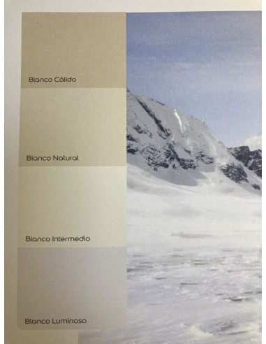 COLORES DEL MUNDO BLANCO NATURAL 4 LTS 