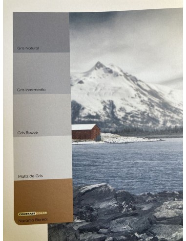 COLORES DEL MUNDO GRIS INTERMEDIO 4 LTS 