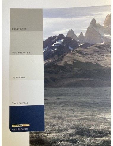 COLORES DEL MUNDO MATIZ DE PERLA 4 LTS 