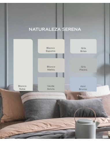 ELEGANCE BR GRIS BRISA  4 LTS...