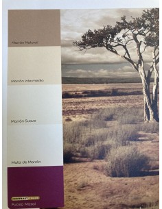 COLORES DEL MUNDO MARRON...